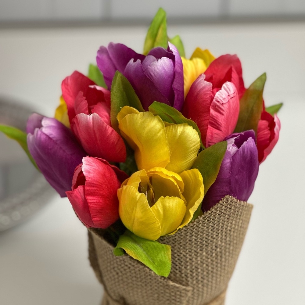 💐Beautiful Tulip Plant - Picture 3 of 5
